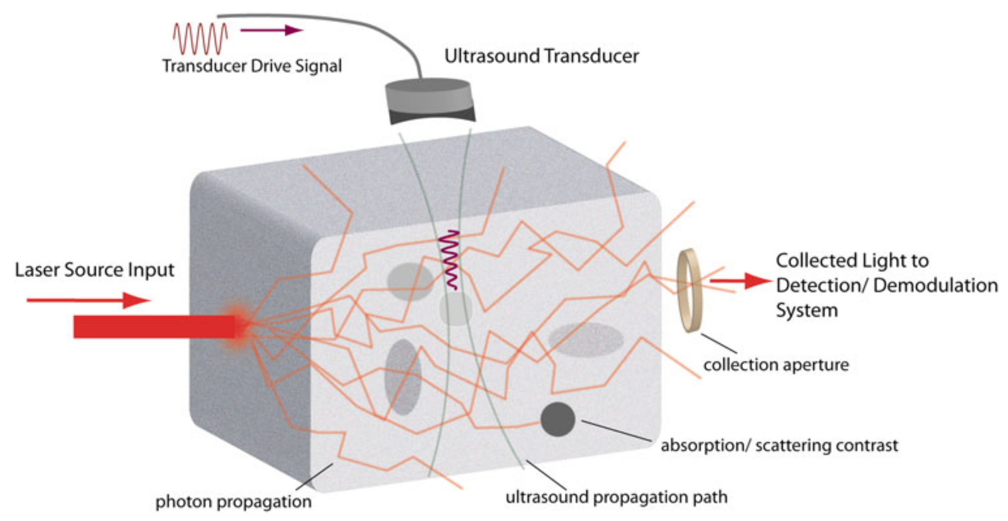 Acoustooptic sensing and imaging Physical Acoustics Laboratory